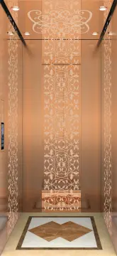 home elevators villa elevator residential lifts passenger lift