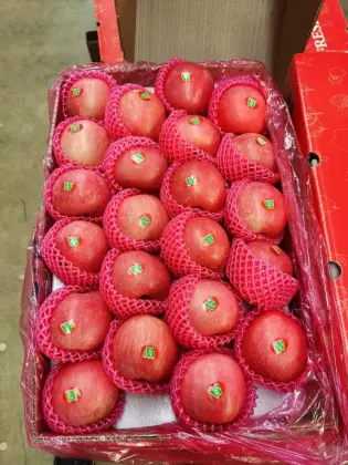 super quality orchard apples