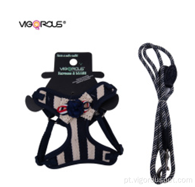 Profissional Made Dog Arness e Leash Set