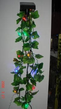 LED stringed light