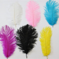 30 cm-35 cm Pink Synthetic Aavestry Feathers para la decoración de la mesa de la fiesta