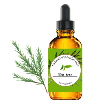 100% Plant Extract Organic Tea Tree Essential Oil