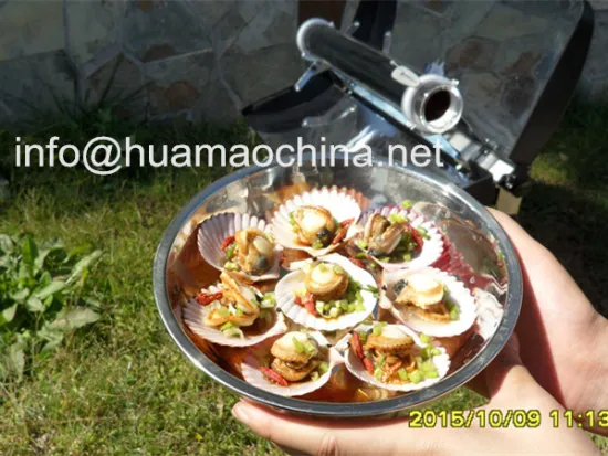 vacuum tube solar cooking stove/ solar bbq grill