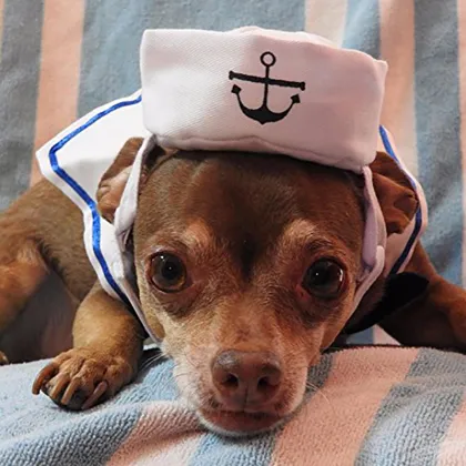 Customed Pet Sailor Outfit Navy Hat Cats Dogs