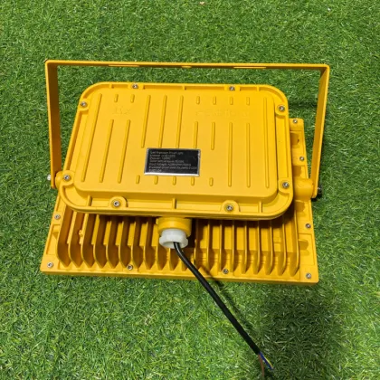 High Quality LED Explosion Proof Lighting - 100W 150W 200W 400W Explosion-Proof Lamps