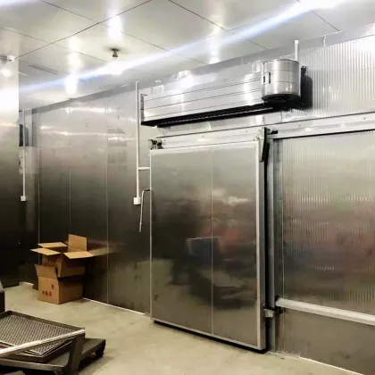 Stainless Steel Electric Automatic Cold Storage Sliding Door Systems for Cold Rooms