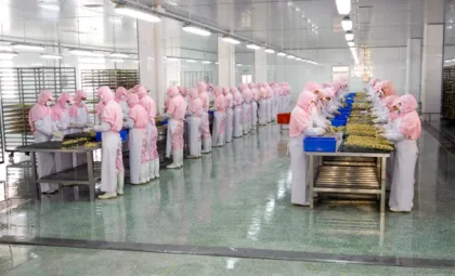 Pure Bites Natural Freeze Dried Dog Treats