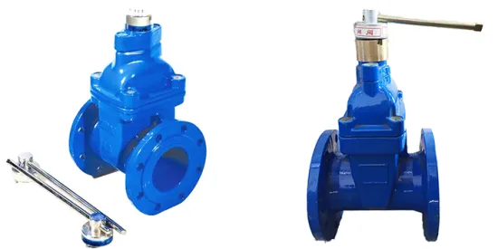 BS5163 resilient seated Ductile Iron  gate Valve