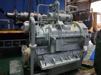 Hangzhou Advance GWC series Gearbox Spare Parts