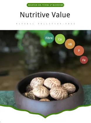 Log Tea Flower Mushroom