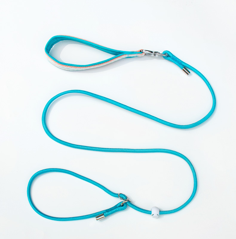 Nylon 6 Dope Dyed Filament Yarn for Dog Leads