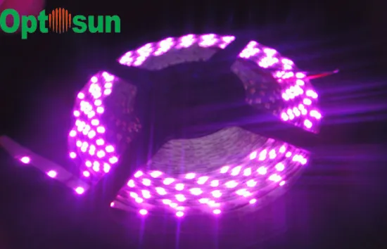 Yellow Blue Ip44 Flexible Smd 5050 Led Strip Light 14.4w/m , 12 Volt 60leds Smd Led Strip Light