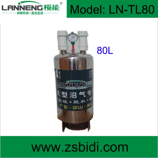 Big Size 80L Biogas Sulfur Removal Systems