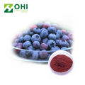 Bilberries ekstrak 5% -98% Anthocyanidins