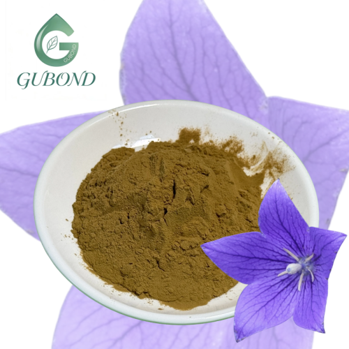 مسحوق مستخلص جذر Platycodon للمكملات الغذائية