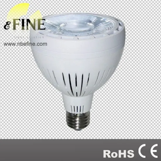 high lumen 30W par30 led spot light