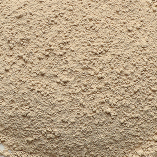 Dried Shiitake Mushroom Powder