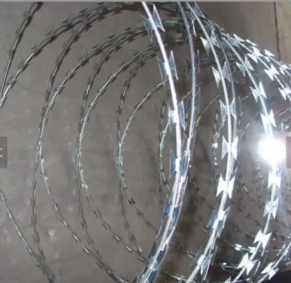 Galvanized Razors Wire Sharp Blade Wire