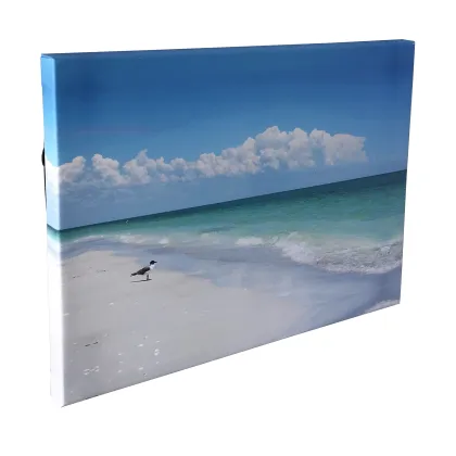 Modern Scenery Excellent Quality Wall Art Canvas Painting