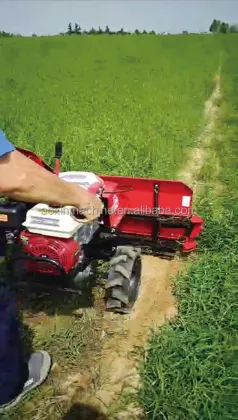 Mini Combine Harvester for Grains: Oats, Rice, Soybeans, Chili, Wheat, Highland Barley - Best Price