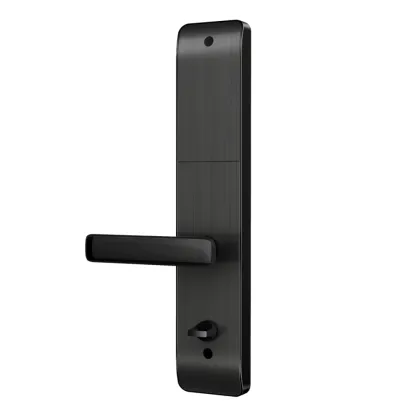 Home Security WiFi Smart Lock