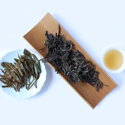 Organic Yunnan Pu'er Tea Arbor Green Cake