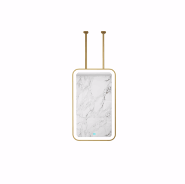 Hospitality Oval Ceiling Mirror with Lights