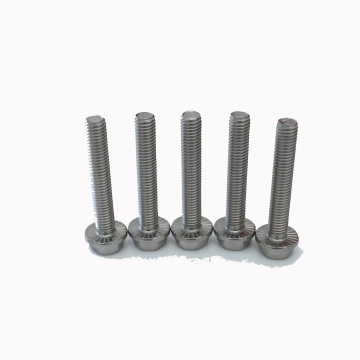 DIN6921 Aço inoxidável HEXAGON Head Flange Bolt