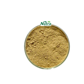 Herbal Extract Scutellaria Barbata Extract Baicalin Powder