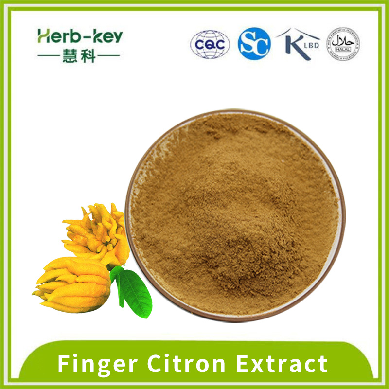 Solid Drink Finger Citron Powder 10:1