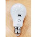 RGBW rechargeable LED light bulbs