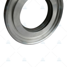 Industrial-Grade Tungsten Carbide Seal Rings