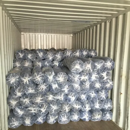 plastic screen mesh net with high quality