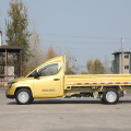 Lingshi Gold Small Truck