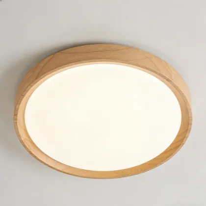 LED ceiling light for indoor lighting