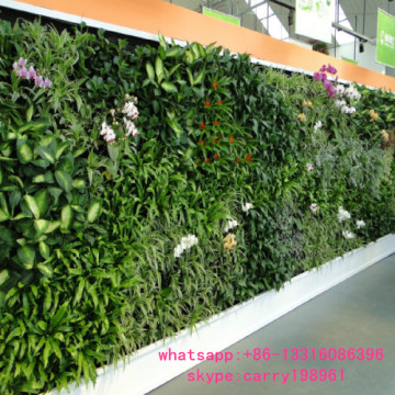 Q091116 outdoor decoration artificial green wall ornamental plants artificial living wall