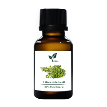 Wholesale Litsea Cubeba Oil