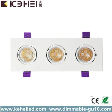 36W Three Head High Power LED Trunk Downlight