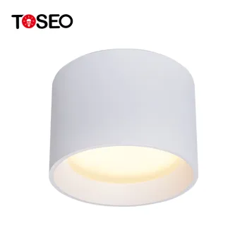 Front Replaceable Pure Aluminum IP65 Waterproof Round COB Surface Mounted LED Downlight