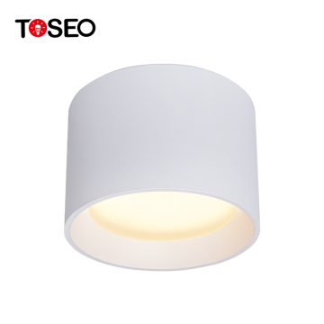 Front Replaceable Pure Aluminum IP65 Waterproof Round COB Surface Mounted LED Downlight