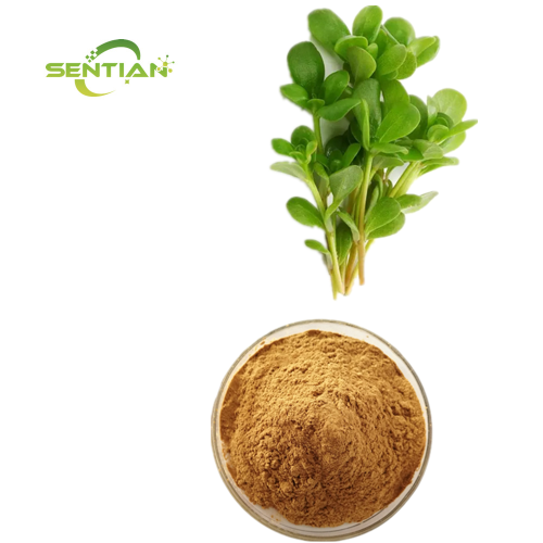 Portulaca oleracea Extract for skin