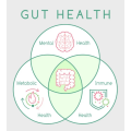 Frutooligossacarídeos orgânicos fos pó intestino microbiota