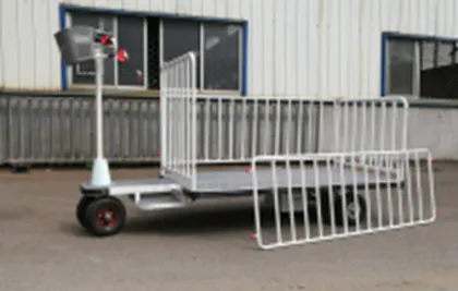 500KG Efficient Standing Driving E-cart