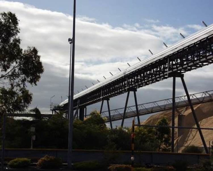 Belt Conveyor for Woodchips