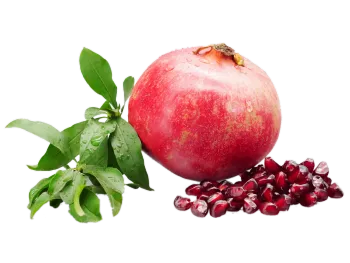 Tunisia Soft Seed Pomegranate Ready To Eat Fruit