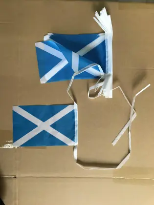Scotland 14x21cm Bunting Flag