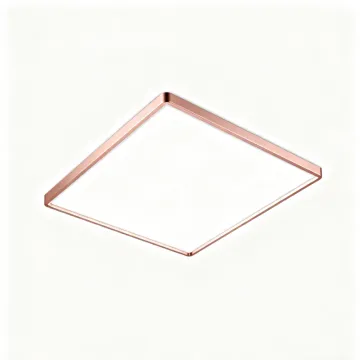 Ceiling light with eye protection