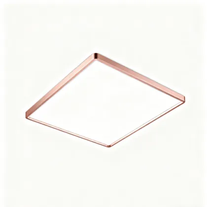 Ceiling light with eye protection