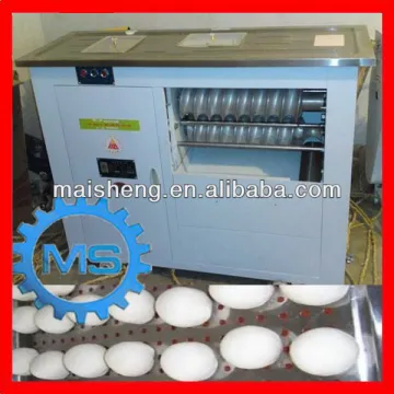 pizza dough ball machine