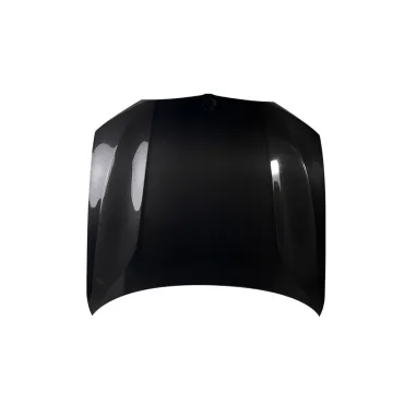 OEM Carbon Fiber Front Bonnet for BMW G20 3 Series G20 Hood Cover